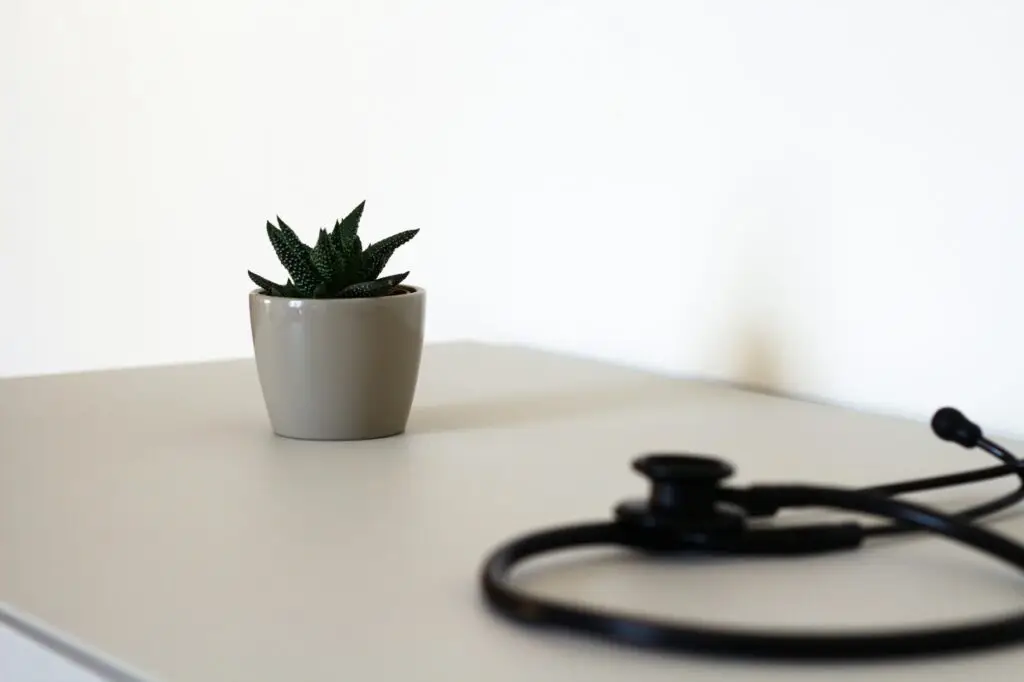 stétoscope et plante